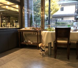 エルちゃん